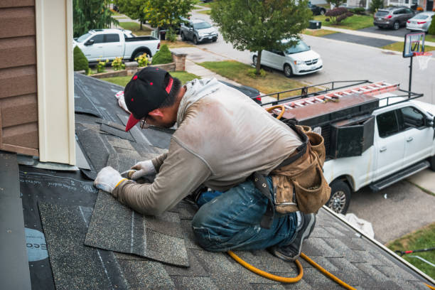 Professional Roof Leak Repair technician working in Almont, CO